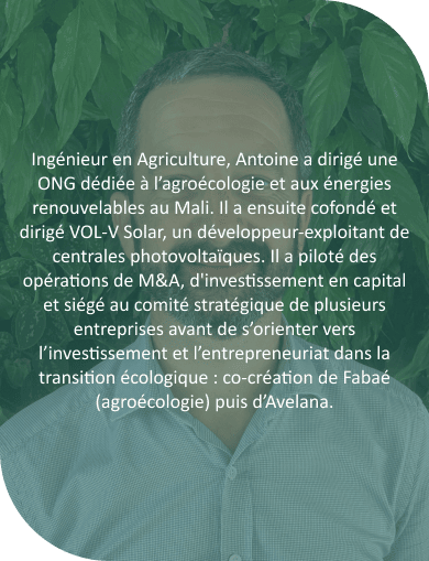 Avelana_Antoine